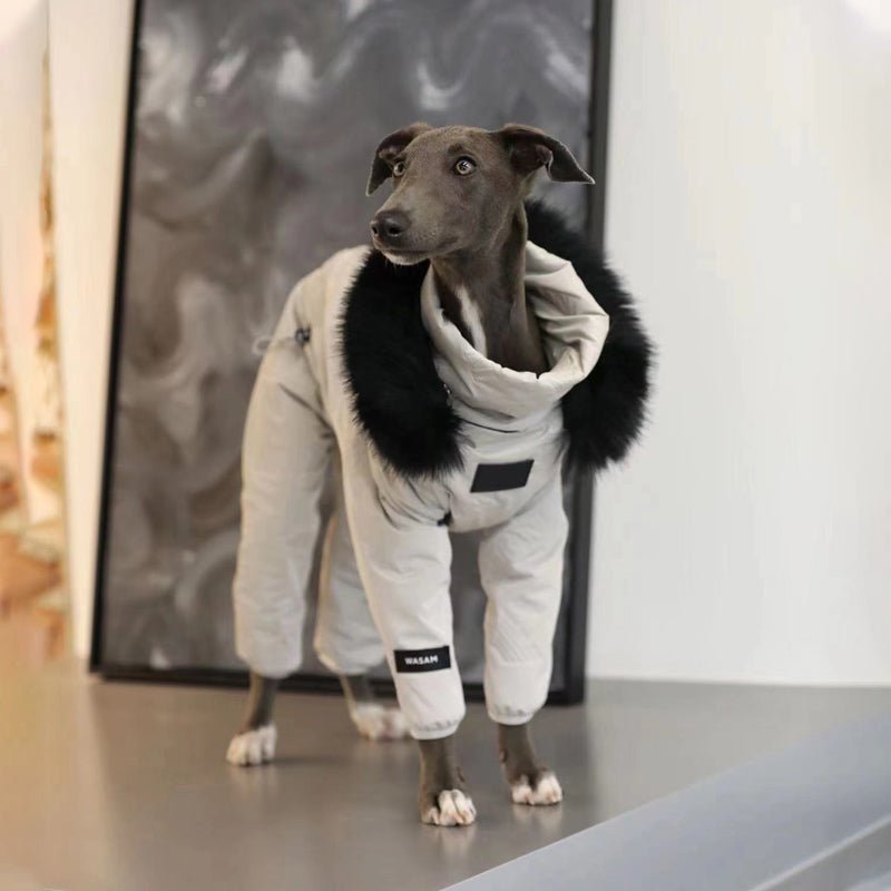 Dog Snowsuit Quilted Cotton Full Body Silver Italian Greyhound Whippet Winter Jacket Padded All-in-One Cold Weather Coat | Koossa