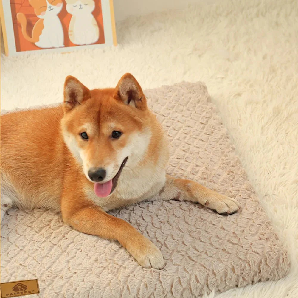 Dog Cushion Bed Orthopaedic Foam Washable Cover M L XL XXL Crate Mat Senior Dogs Joint Support Non-Slip | Koossa