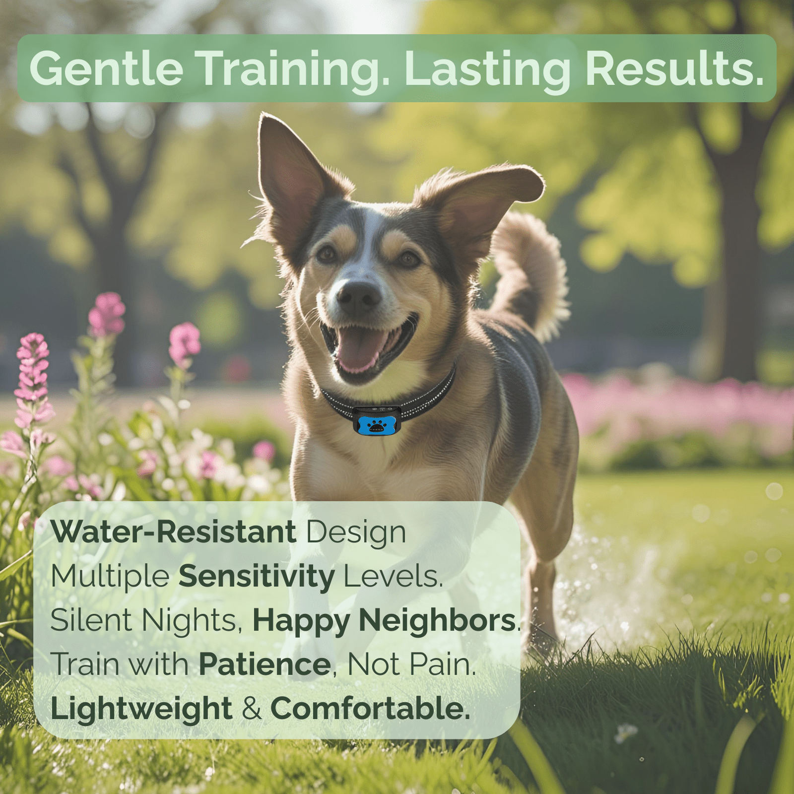 Dog Bark Collar Beep Vibration Rechargeable USB Adjustable 4.7–22 in 7 Sensitivity Levels Anti-Bark Training | Koossa