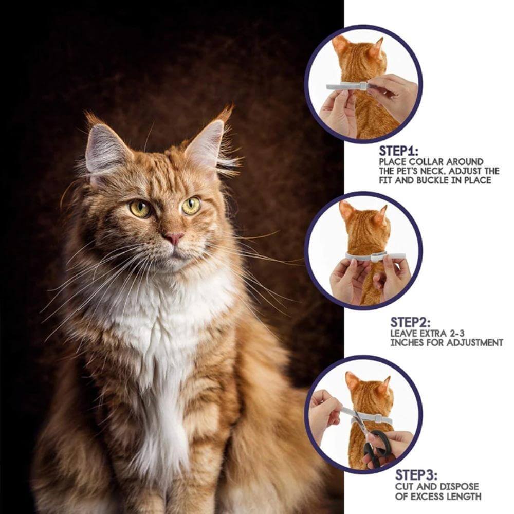 Collier Antiparasitaire Naturel pour Chiens et Chats – Protection 8 Mois – Réglable – Sans Produit Chimique | Koossa