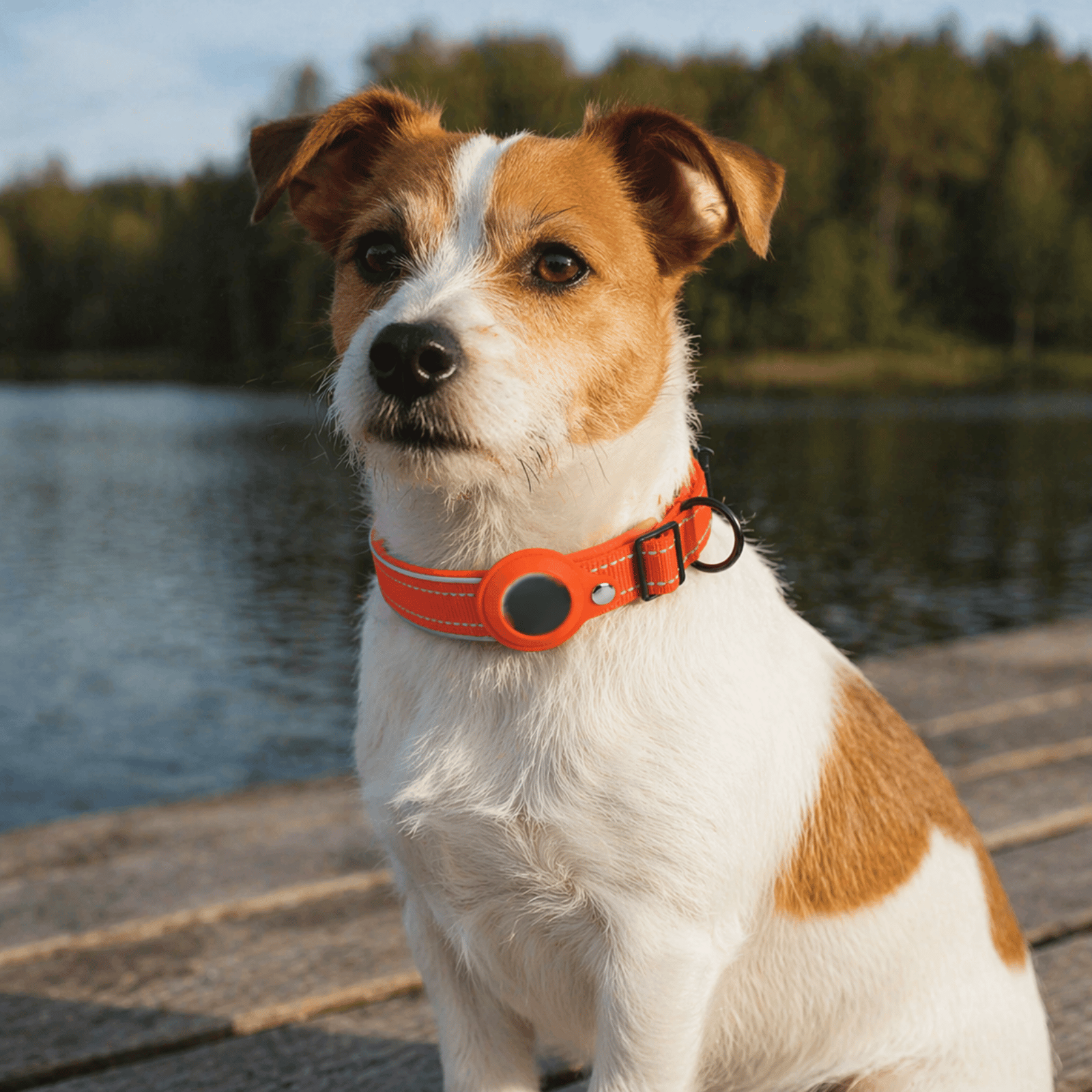 Dog Tracker Collar Android Google Find My Device 1000D Nylon Neoprene Reflective S–XL 8–10 Month Battery No SIM | Koossa