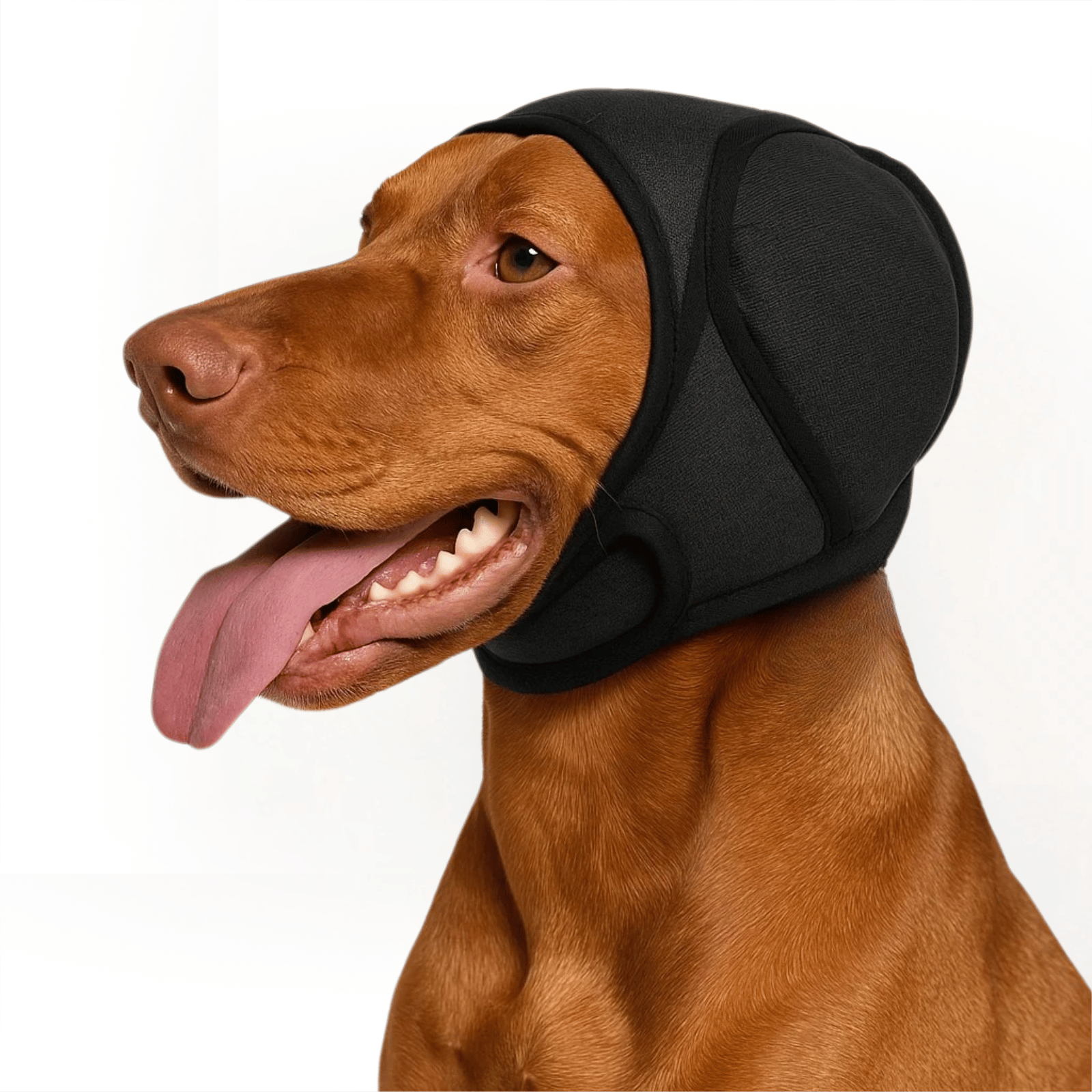Dog Ear Protection Hood Noise Reduction Waterproof Adjustable S M L Fireworks Thunder Grooming Anxiety | Koossa
