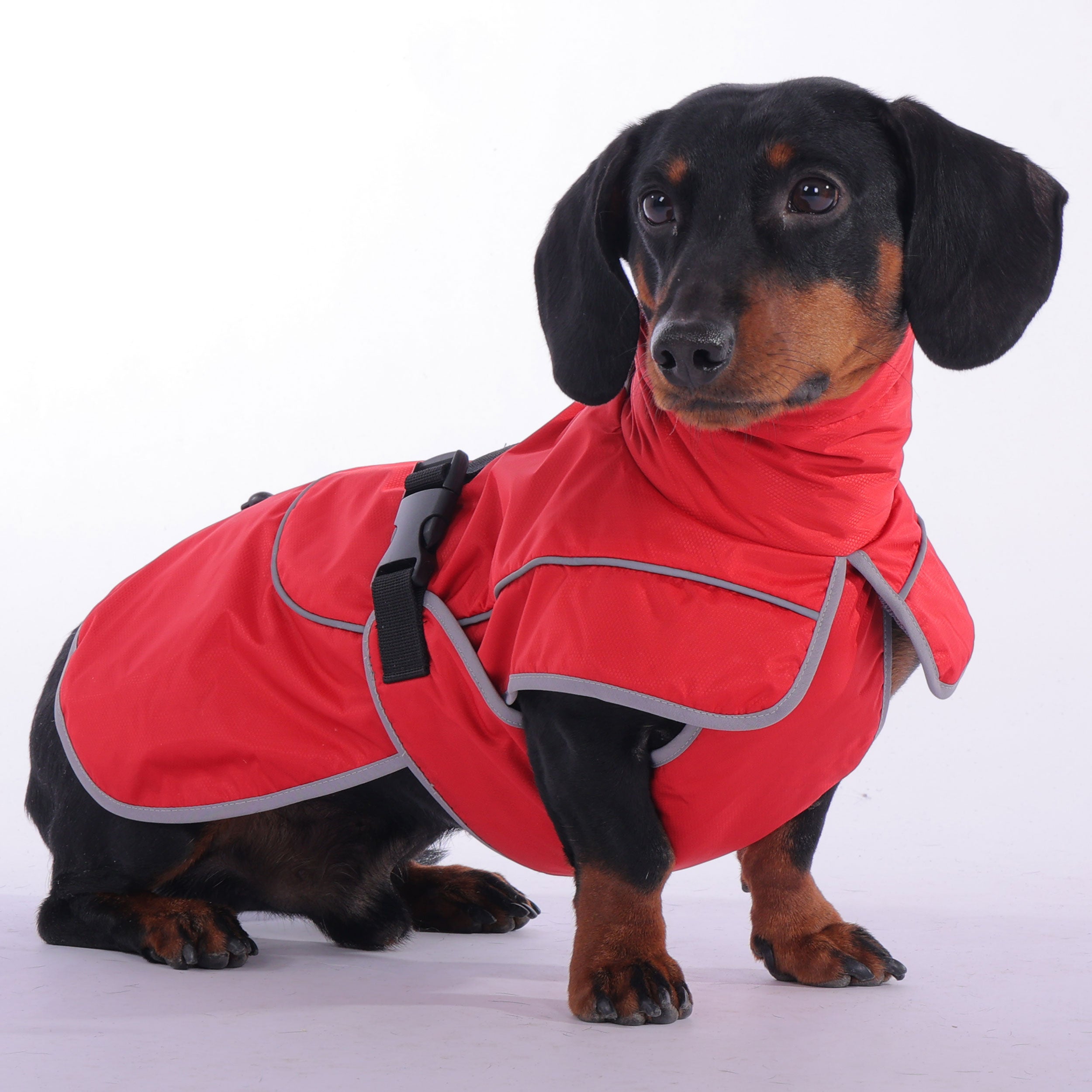 Dachshund Winter Jacket Waterproof High Collar Reflective XS–XL Raincoat Windproof Dog Coat Sausage Dog Wet Weather | Koossa