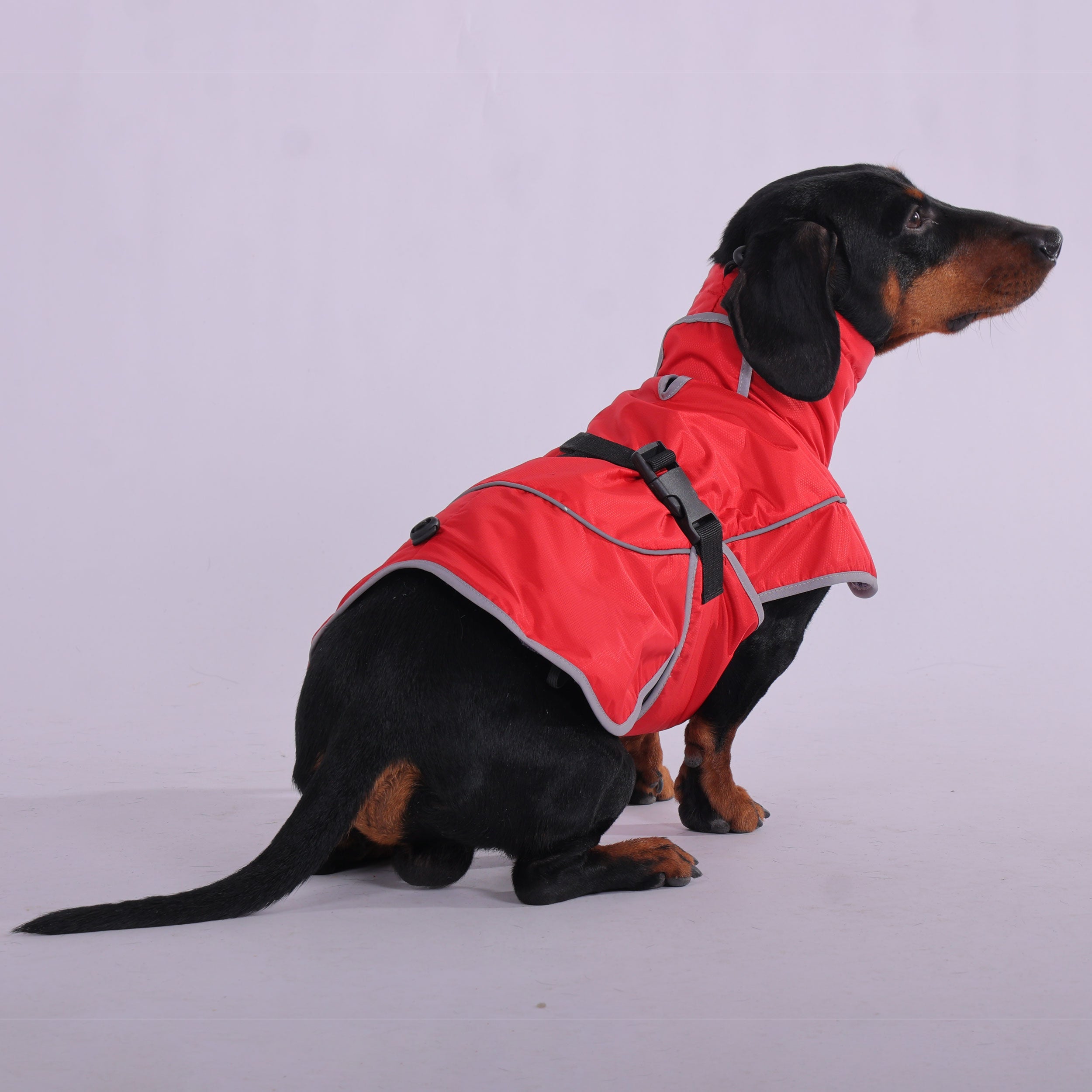 Dachshund Winter Jacket Waterproof High Collar Reflective XS–XL Raincoat Windproof Dog Coat Sausage Dog Wet Weather | Koossa