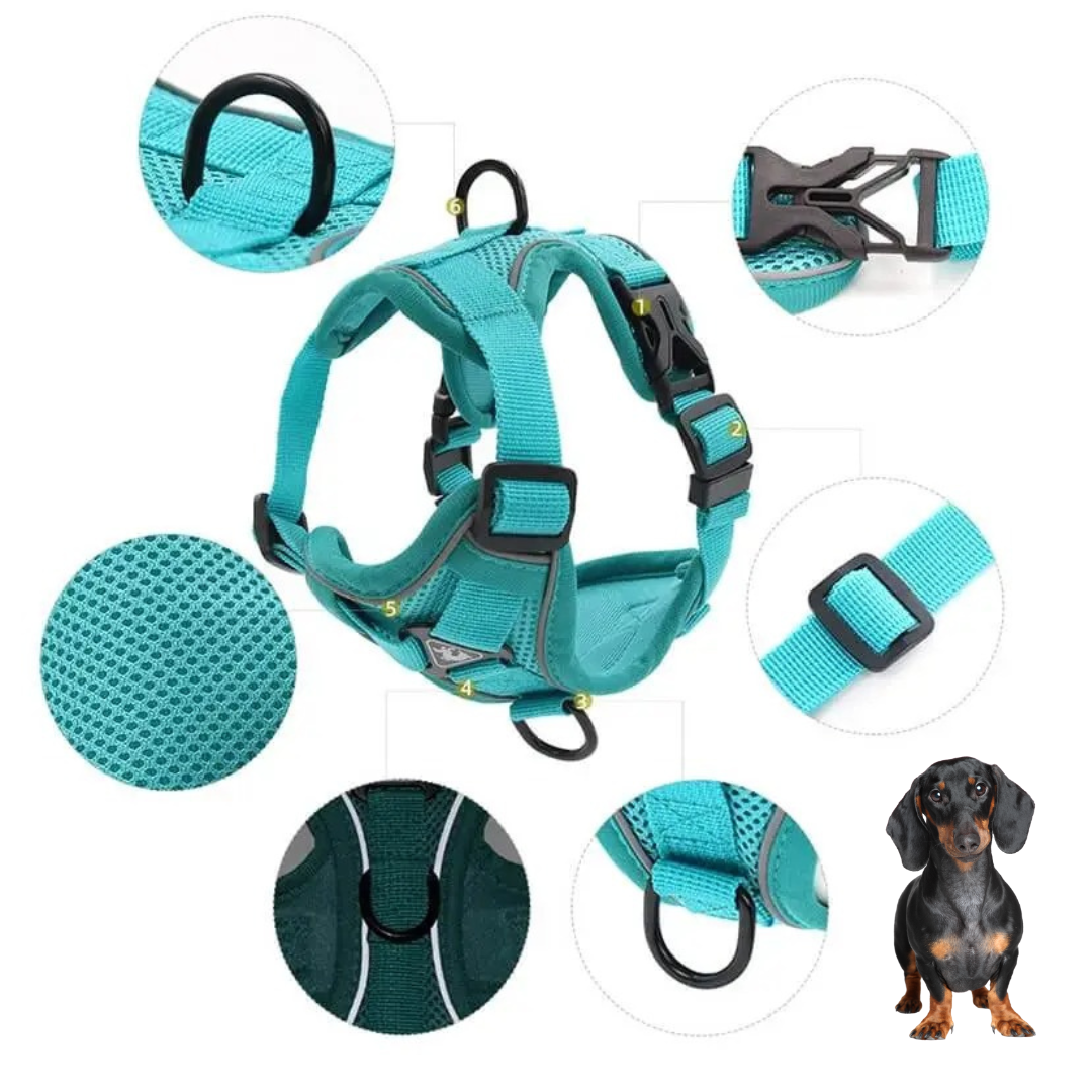 Dachshund Harness No-Pull Padded Mesh Nylon Leash Set Dual Hook Reflective XS–XL Small Dog Walking Vest Training | Koossa