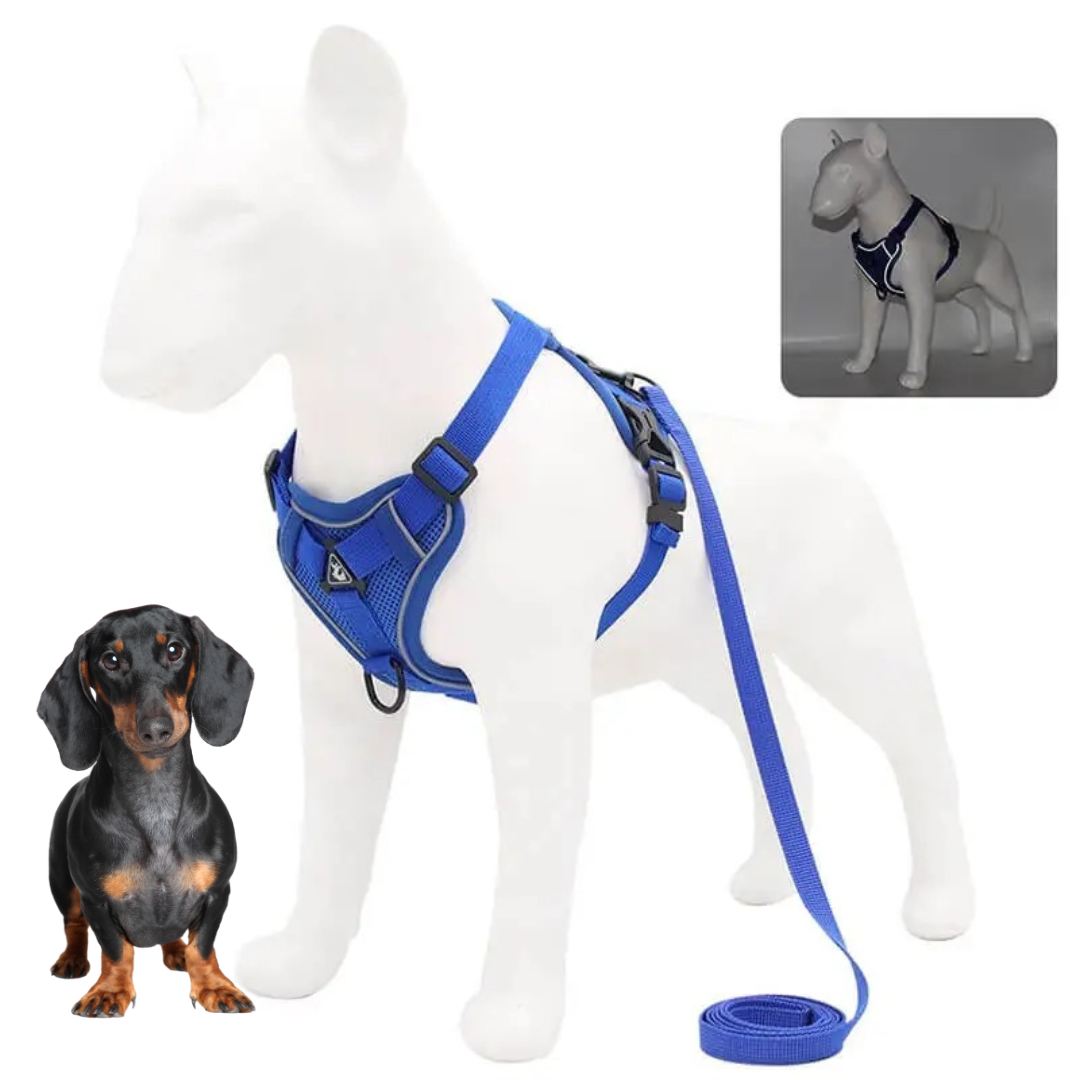 Dachshund Harness No-Pull Padded Mesh Nylon Leash Set Dual Hook Reflective XS–XL Small Dog Walking Vest Training | Koossa