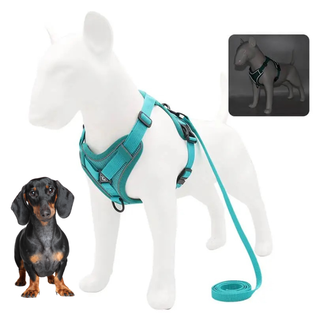 Dachshund Harness No-Pull Padded Mesh Nylon Leash Set Dual Hook Reflective XS–XL Small Dog Walking Vest Training | Koossa