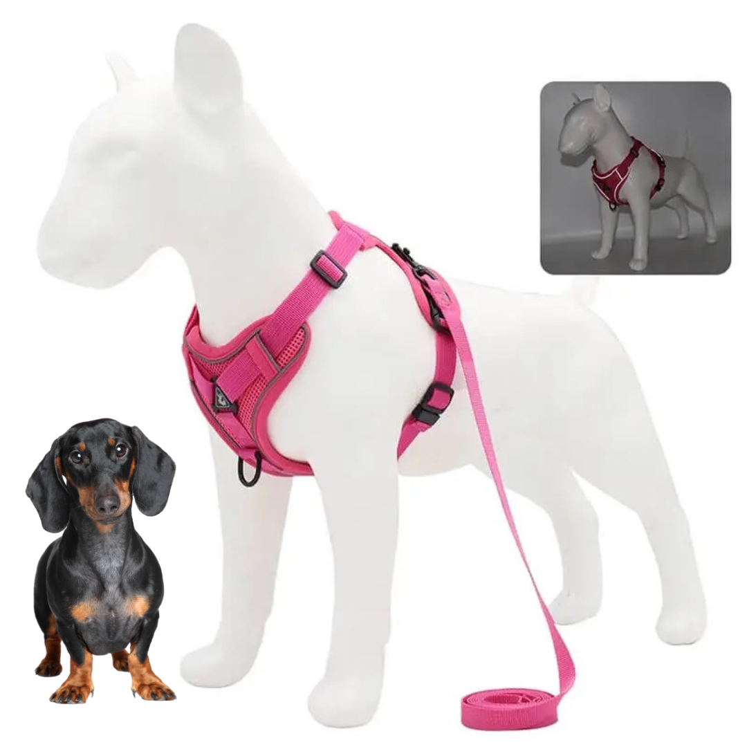 Dachshund Harness No-Pull Padded Mesh Nylon Leash Set Dual Hook Reflective XS–XL Small Dog Walking Vest Training | Koossa