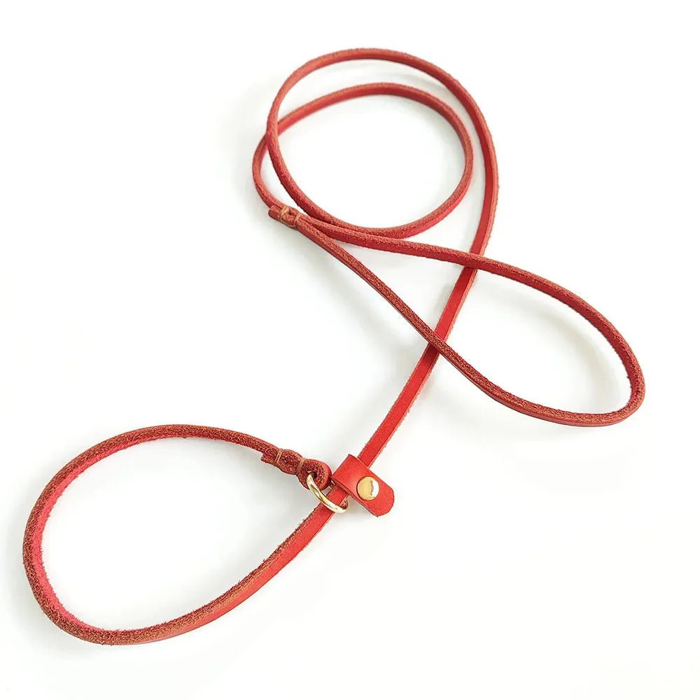 Dog Slip Lead Leather 2-in-1 Adjustable 120cm 150cm Soft Grip Training Leash Collar Black Brown Red Walking Lead | KoossaDog Slip Lead Leather 2-in-1 Adjustable 120cm 150cm Soft Grip Training Leash Collar Black Brown Red Walking Lead | Koossa