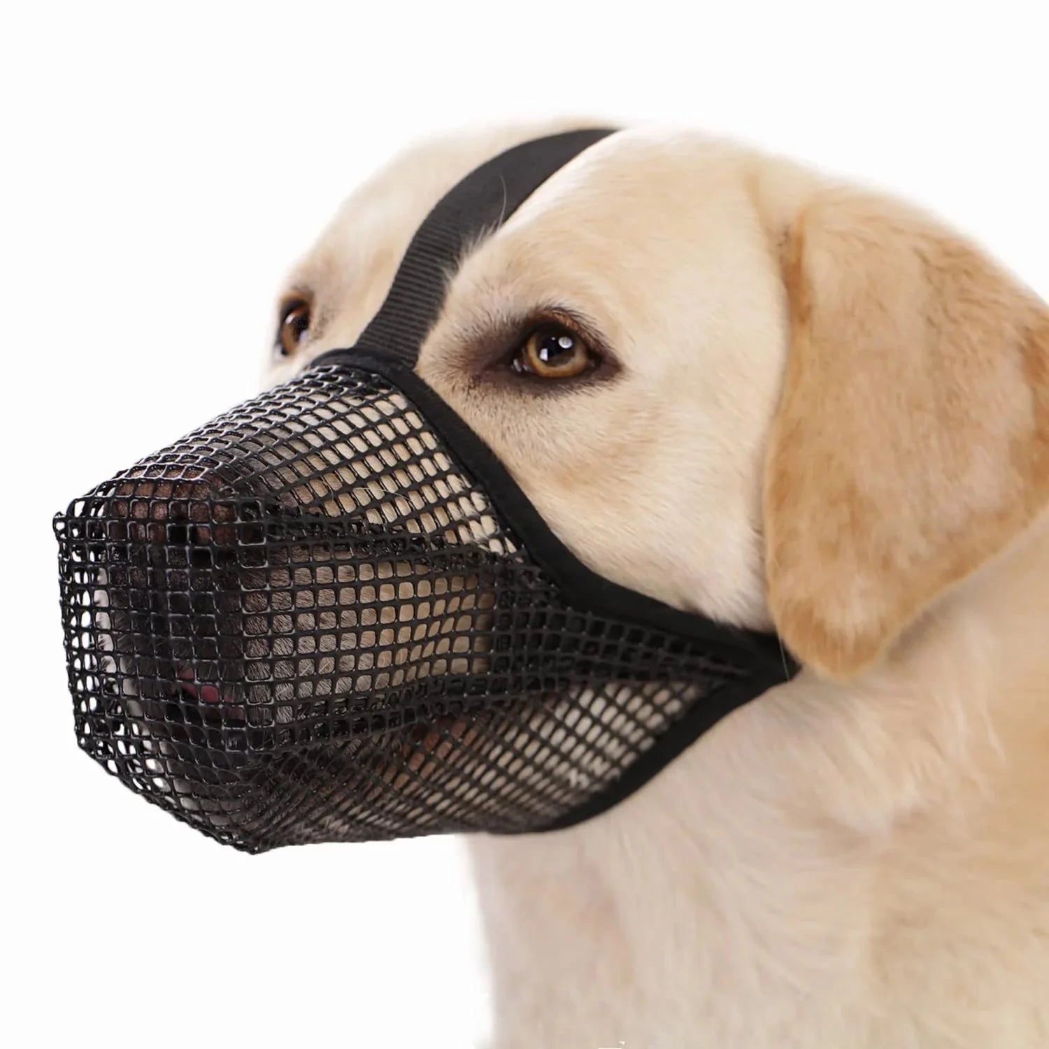Dog Muzzle Soft Mesh Breathable Adjustable XS S M L XL Drink-Friendly Foldable Public Transport Safe | Koossa